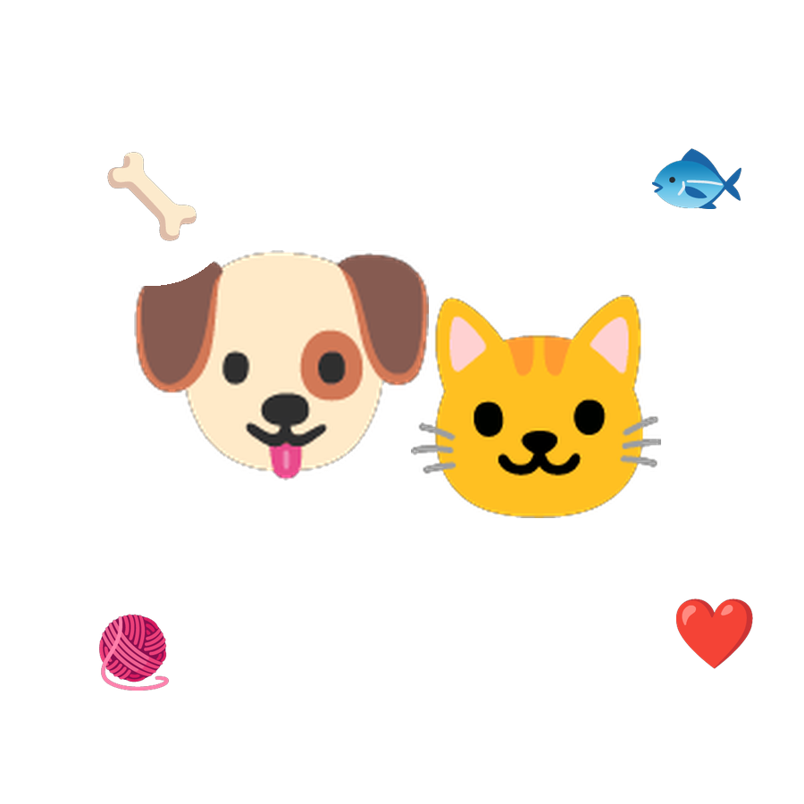 Perro y gato felices