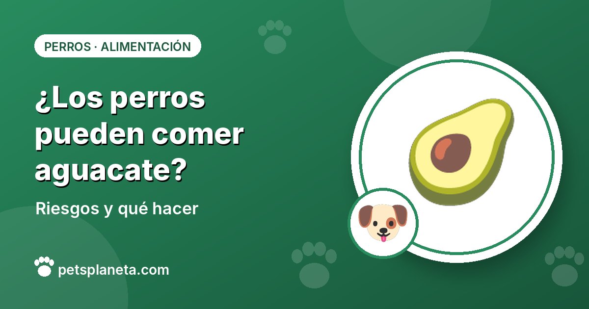 ¿Los perros pueden comer aguacate? Riesgos y qué hacer si se lo comió